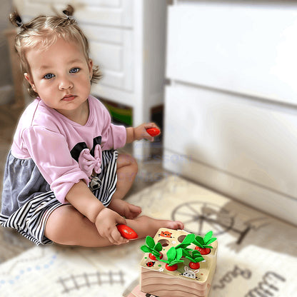 Montessori Carrot Set