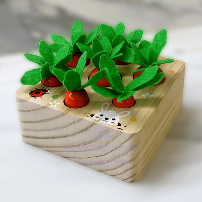 Montessori Carrot Set