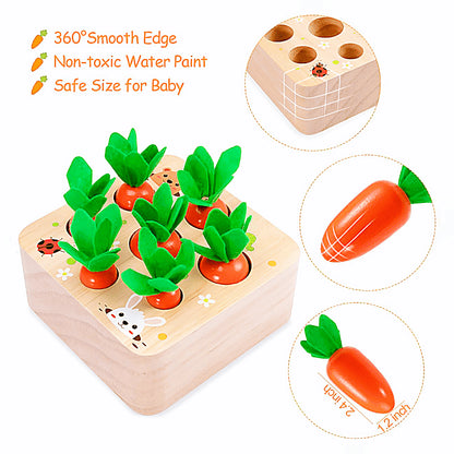 Montessori Carrot Set