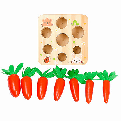Montessori Carrot Set