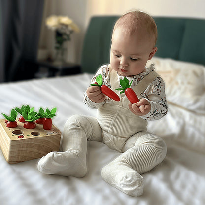 Montessori Carrot Set