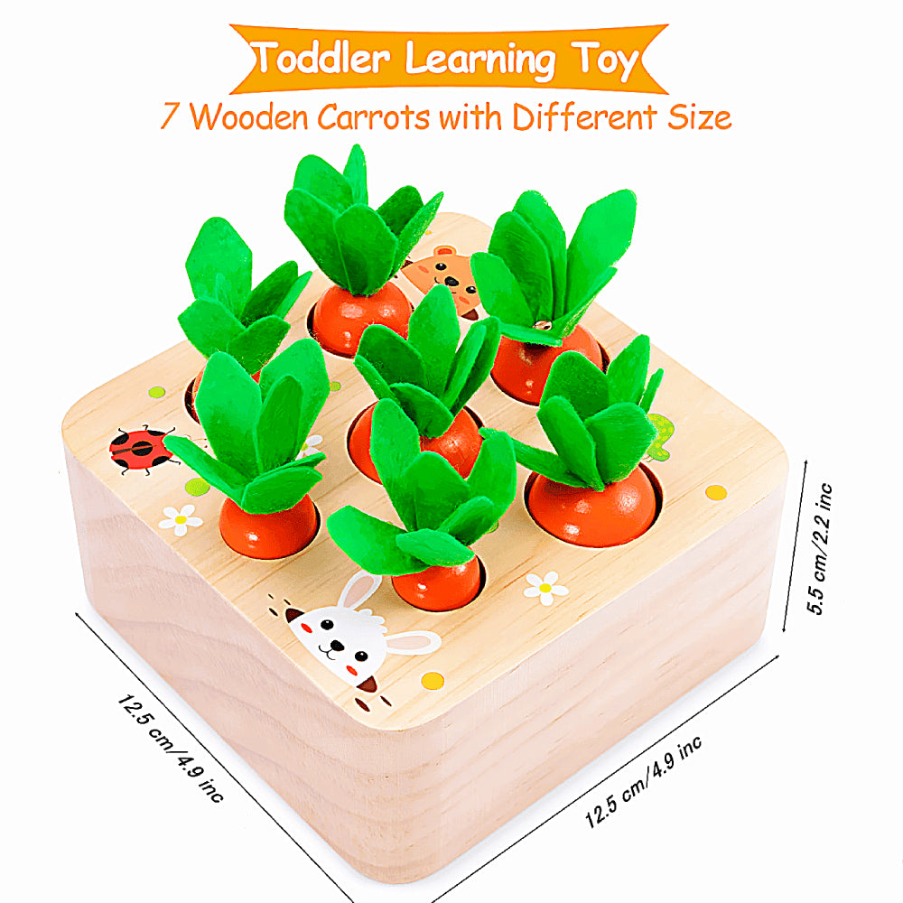 Montessori Carrot Set