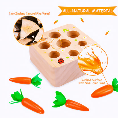 Montessori Carrot Set