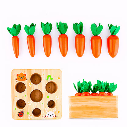 Montessori Carrot Set