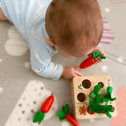 Montessori Carrot Set
