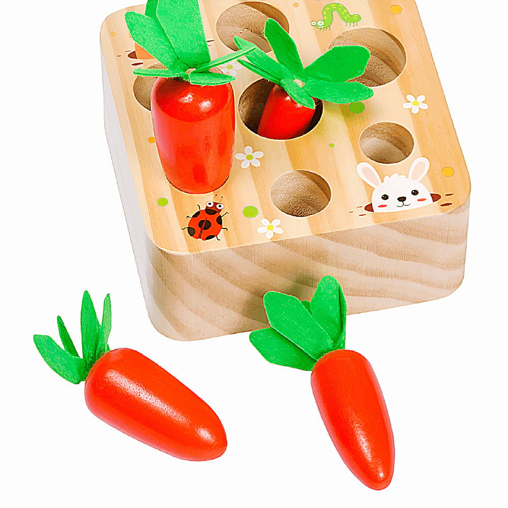 Montessori Carrot Set