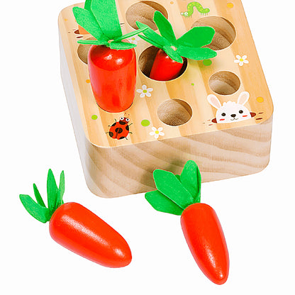 Montessori Carrot Set