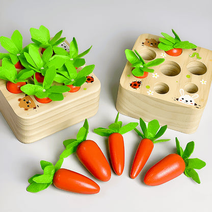 Montessori Carrot Set