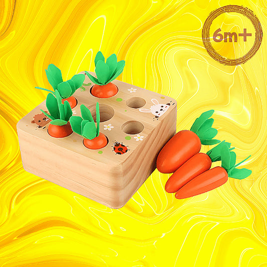 Montessori Carrot Set