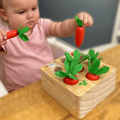 Montessori Carrot Set