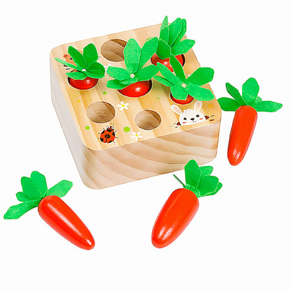 Montessori Carrot Set