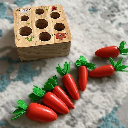 Montessori Carrot Set