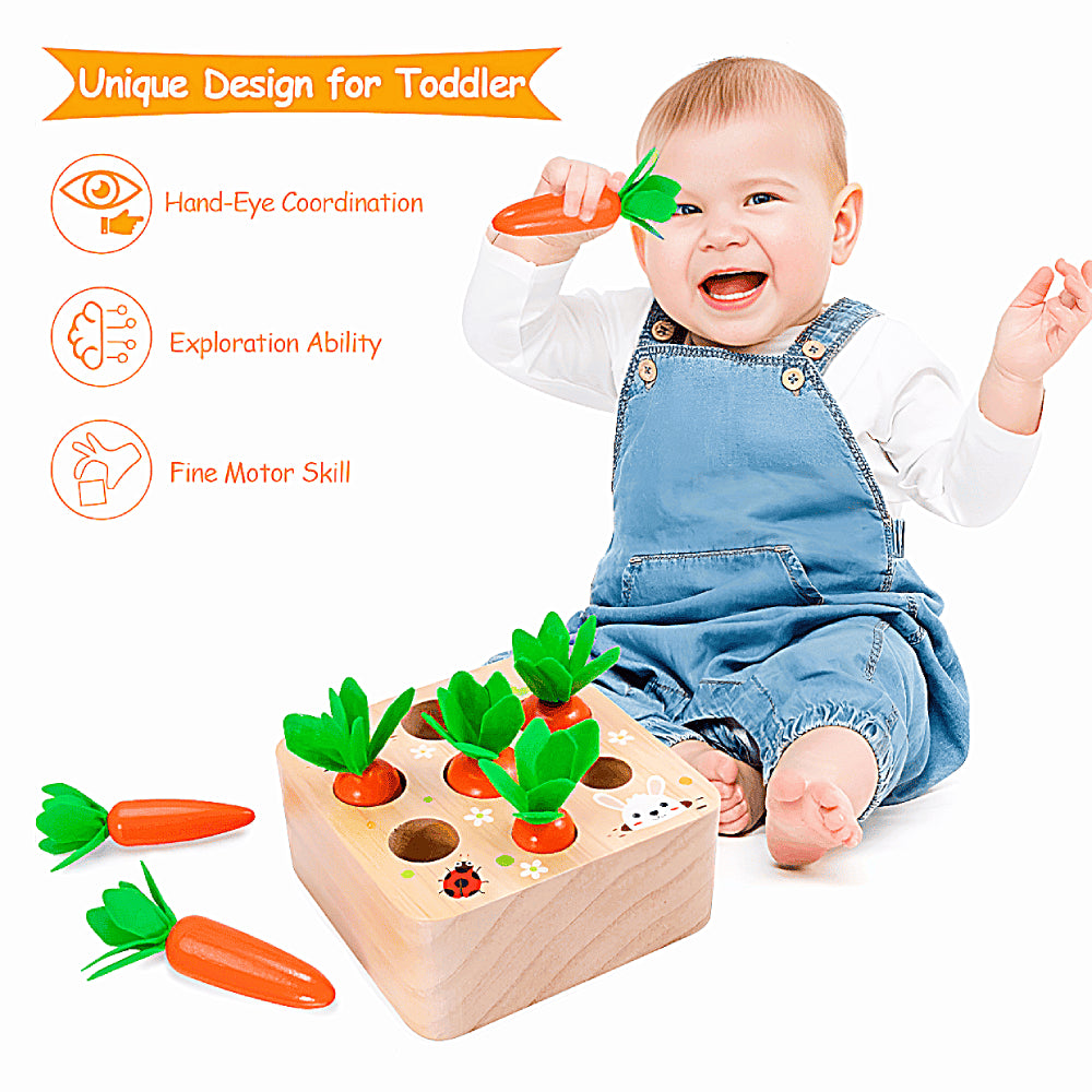 Montessori Carrot Set