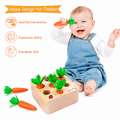 Montessori Carrot Set